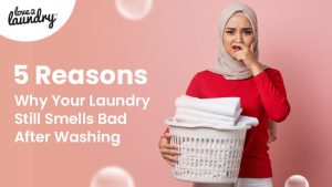 5 Reasons Why Your Laundry Still Smells Bad After Washing